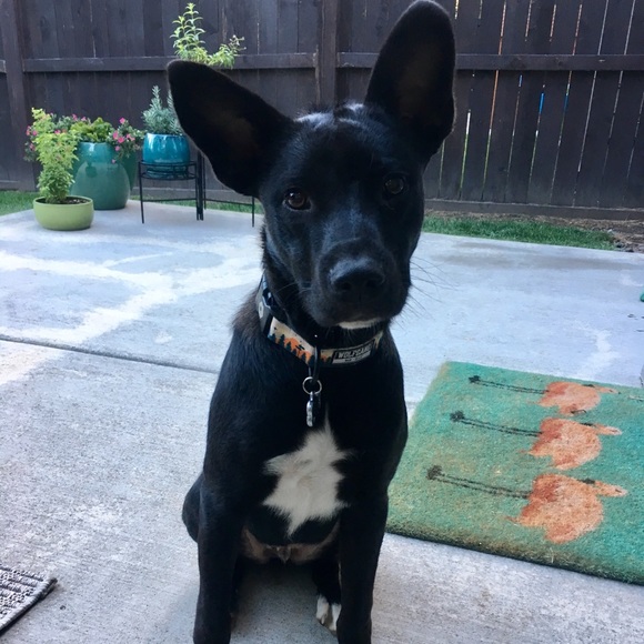 Hi! I’m Angie 🌺 - Picture 2 of 16